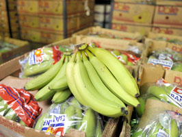 Banana shipments