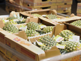 Pineapple shipments