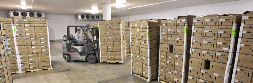 Inside Refrigerated Room